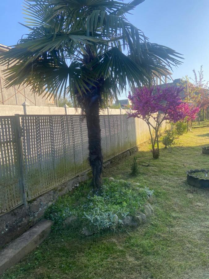 Luka Family Guest House Μπατούμι Εξωτερικό φωτογραφία